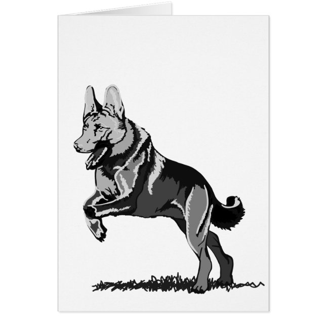 Spring Schäferhund (Frente)