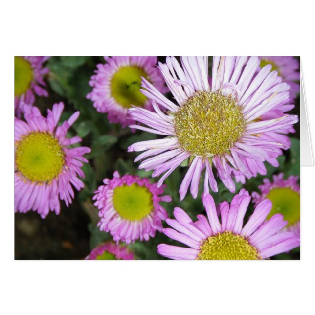 "Springtime chez moi" (Anverso (Horizontal))