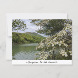 Springtime En La Postales De Catarts