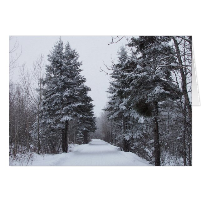 Spruce Alley (Anverso (Horizontal))