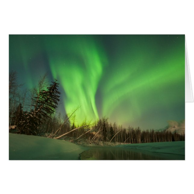 Spruce inclinación Aurora (Anverso (Horizontal))