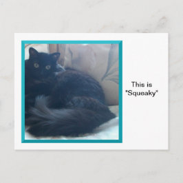 Squeaky en una postal