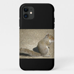 Squirrel Hungry Horatio iPhone 5 Funda