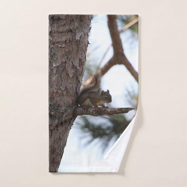 Squirrel in a Pine Tree Towel Set (Toalla de mano)