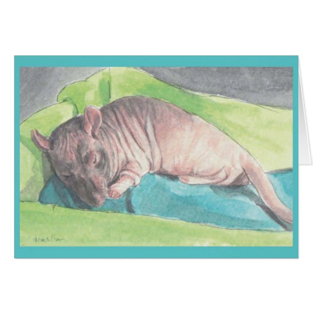 Sr. Bigglesworth (Anverso (Horizontal))