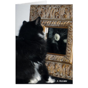 Sr. Bootee, a través del espejo