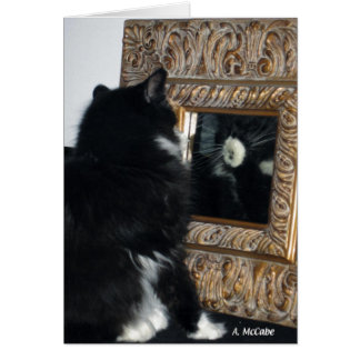 Sr. Bootee, a través del espejo