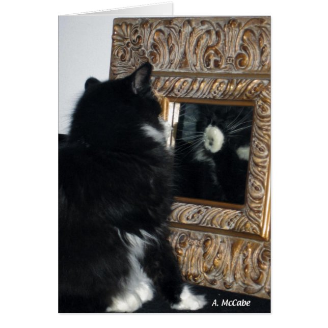 Sr. Bootee, a través del espejo (Frente)