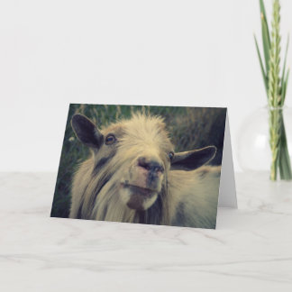 Sr. Gotye - Tarjeta en blanco