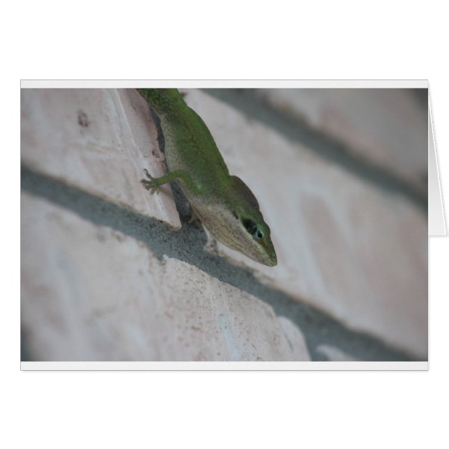 Sr. Green Lizard (Anverso (Horizontal))