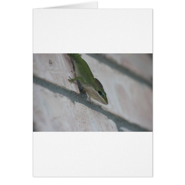 Sr. Green Lizard (Frente)