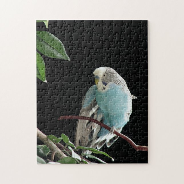 Sr. Jill Budgie Puzzle (Vertical)