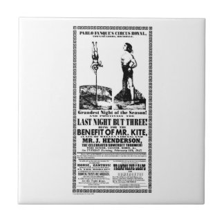 Sr. Kite Poster en una teja