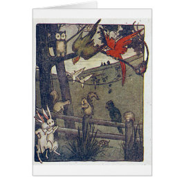 Sr. Owl Gives A Party