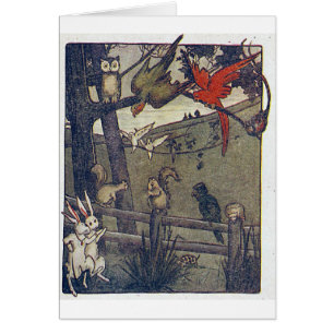 Sr. Owl Gives A Party