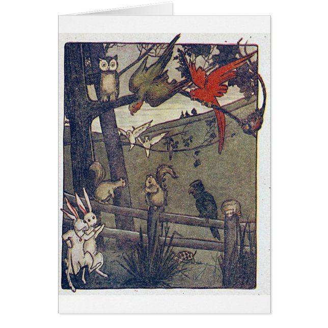 Sr. Owl Gives A Party (Frente)