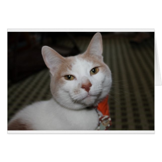 ¡Sr. Peabody! (Anverso (Horizontal))