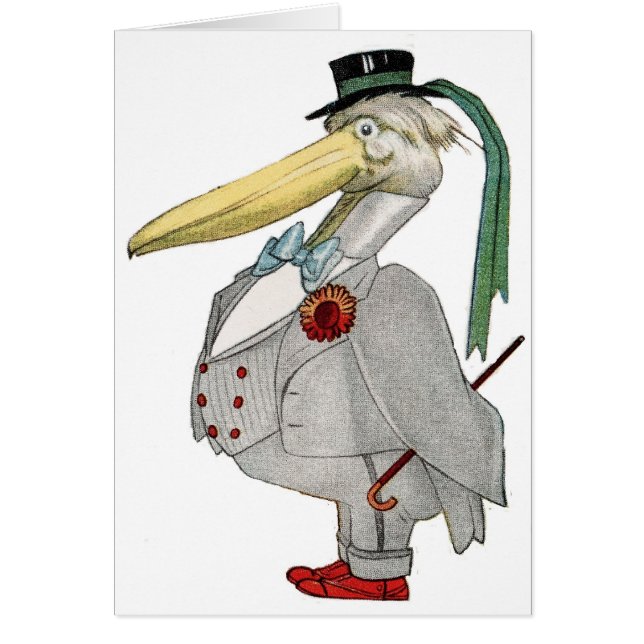 SR. PELICAN (Frente)