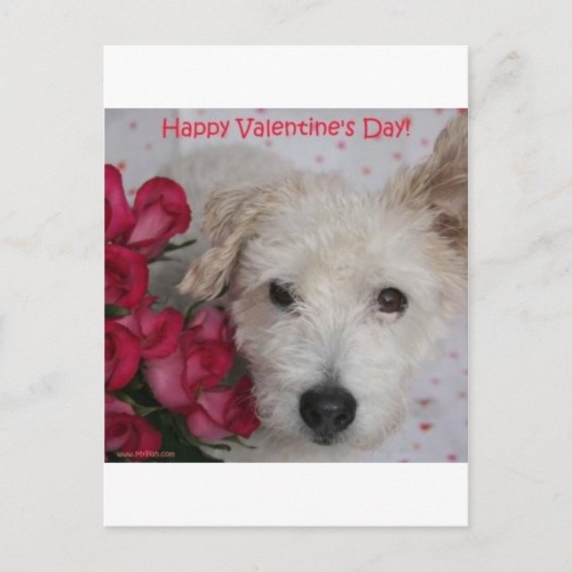 Sr. Pish y tarjeta del el día de San Valentín de (Anverso)