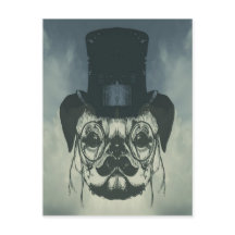 Sr. Pug en una tarjeta