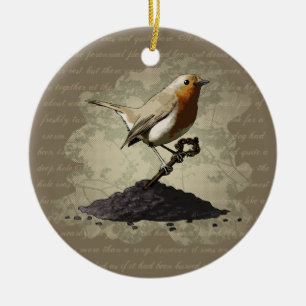 Sr. Robin Finds la llave, ornamento