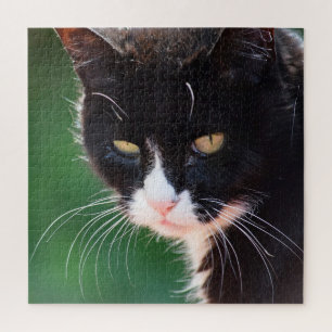 Sr. Whiskers - Puzzle Cat Jigsaw - 20x20 - 676 pc