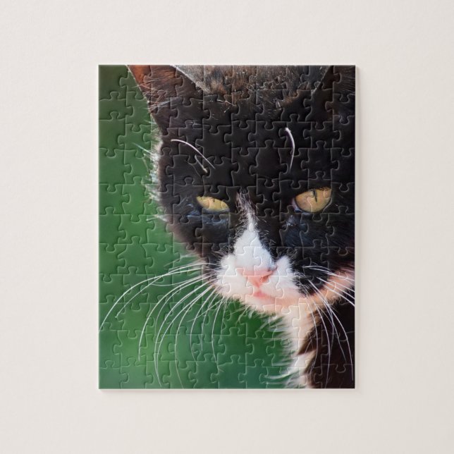 Sr. Whiskers - Puzzle Cat Jigsaw - 8x10 - 100 pc (Vertical)