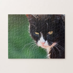 Sr. Whiskers - Rompecabezas del Gato