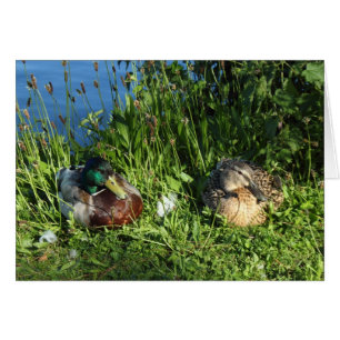 Sr. y Sra. Mallard