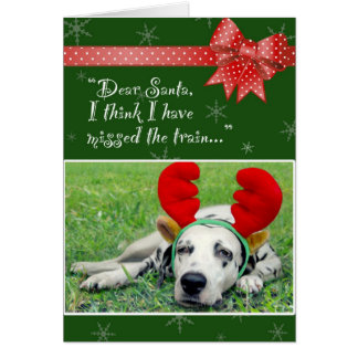 Srta. dálmata The Train Green