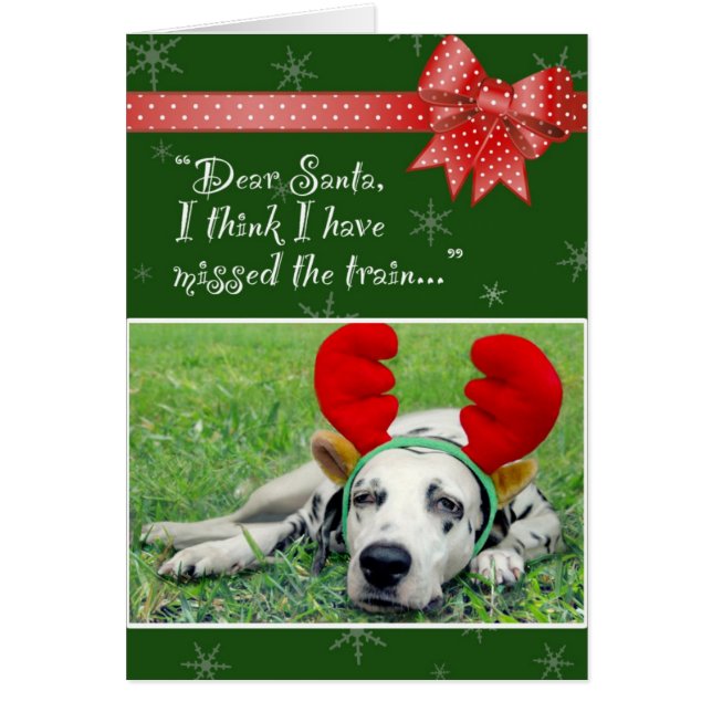 Srta. dálmata The Train Green (Frente)