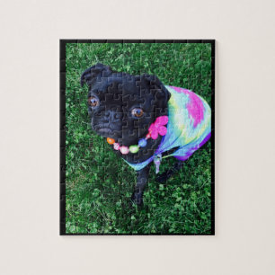 Srta. Harley Pug Puzzle