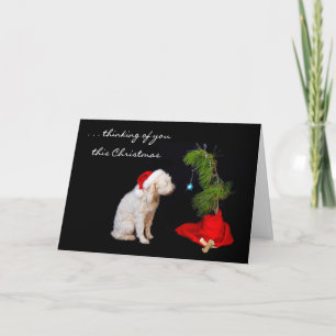 Srta. You en el navidad - perro que mira el árbol