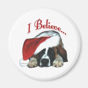 St Bernard I cree - el imán