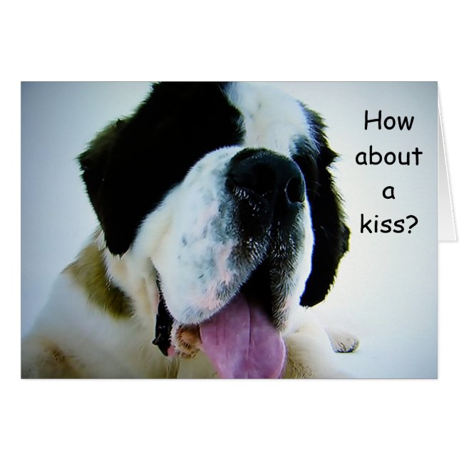 ST. BERNARD PREGUNTA "QUÉ TAL UN BESO" (PUP ROMÁTI (Anverso (Horizontal))