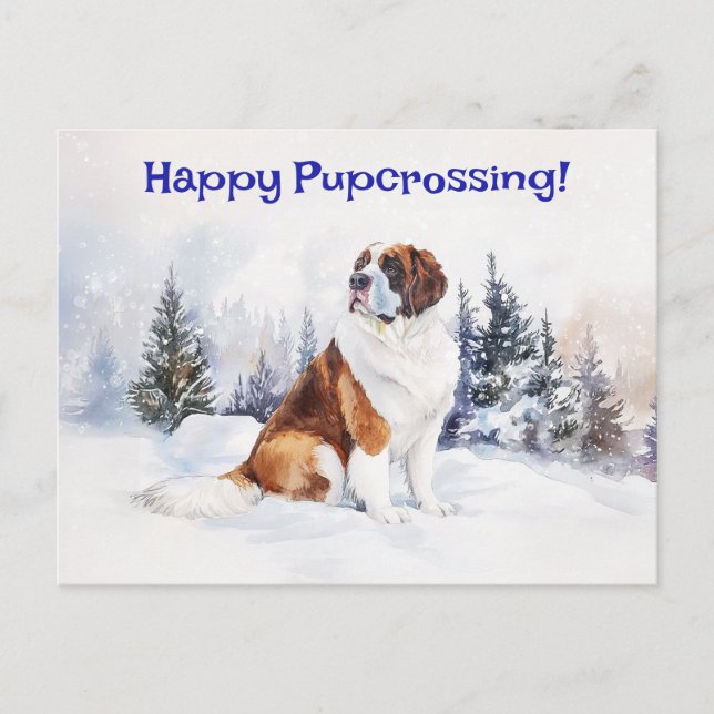 St. Bernard Pupcross - postal (Anverso)