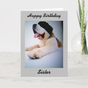 ST. BERNARD SALUDANDO A MI TARJETA DE CUMPLEAÑOS "