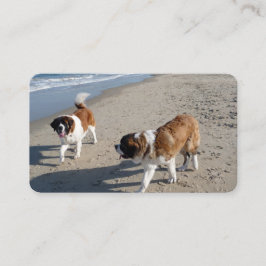 St.Bernards en las tarjetas de visita