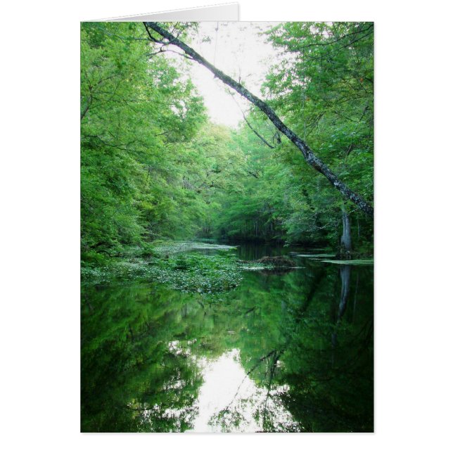 St. Río de las marcas (Frente)