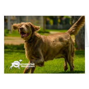 Stackhouse sonriente