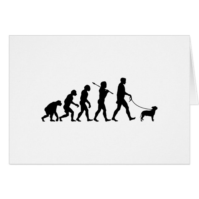 Staffordshire bull terrier (Anverso (Horizontal))