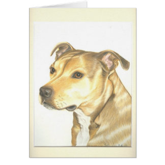Staffordshire bull terrier