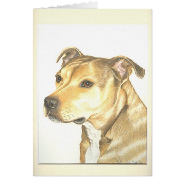 Staffordshire bull terrier (Frente)