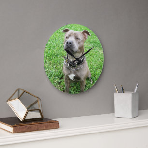 Staffordshire Bull Terrier, reloj de pared