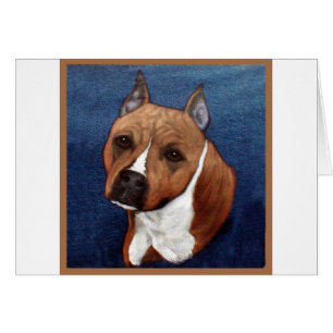 Staffordshire Terrier americano