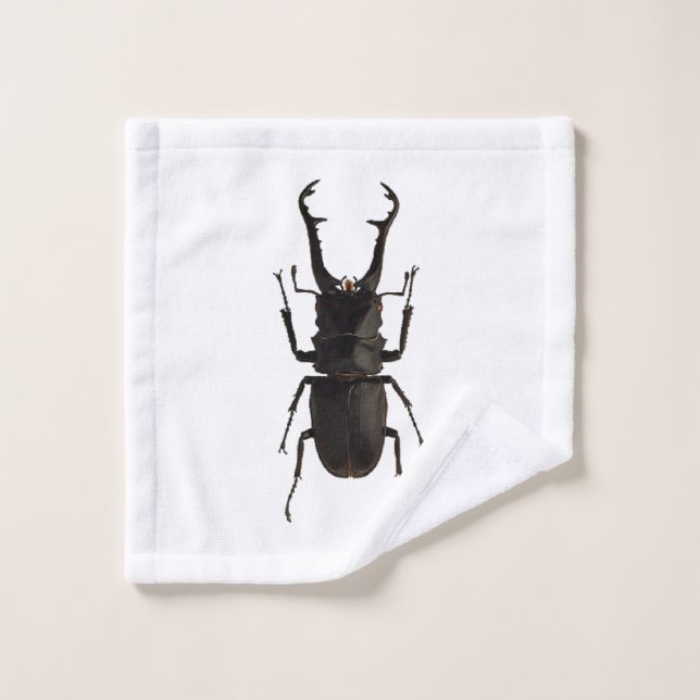Stag Beetle (Toallita)