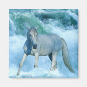 Stallion blanco y olas oceánicas imán de arte equi