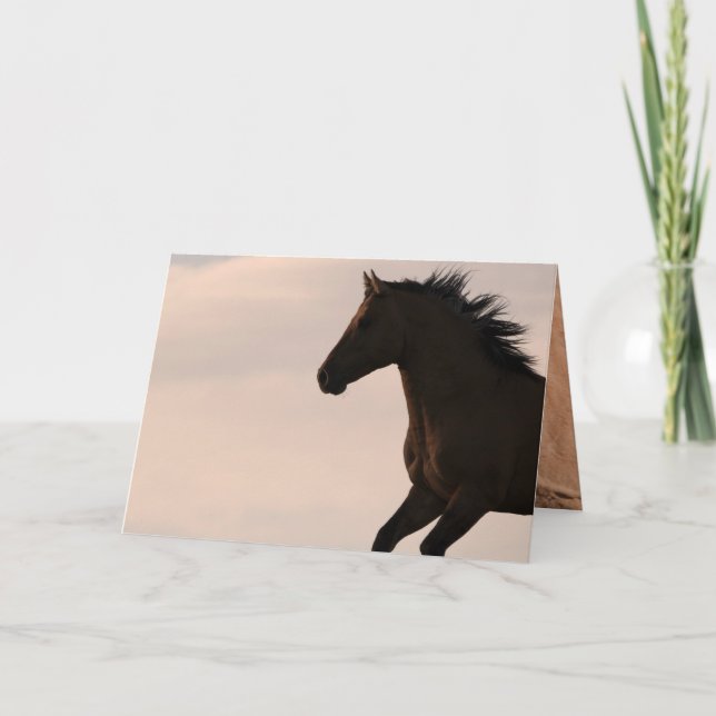Stallion corre en la tarjeta de felicitación Sunri (Anverso)