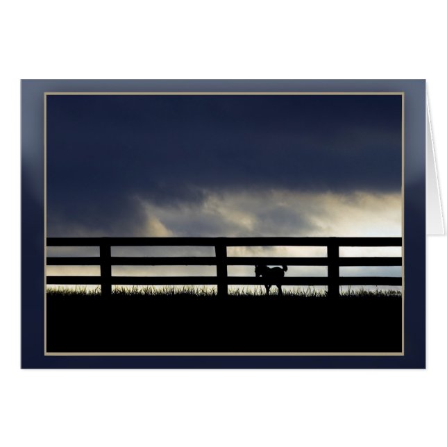 Stallion Farm Silhouette (Anverso (Horizontal))