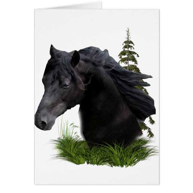 stallion.final (Frente)